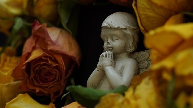 Death Has a Cost - The Beneficiary Liquidity Plan®