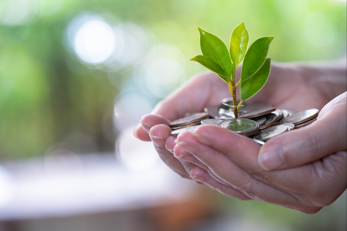 Tips for Building Your Financial Foundation