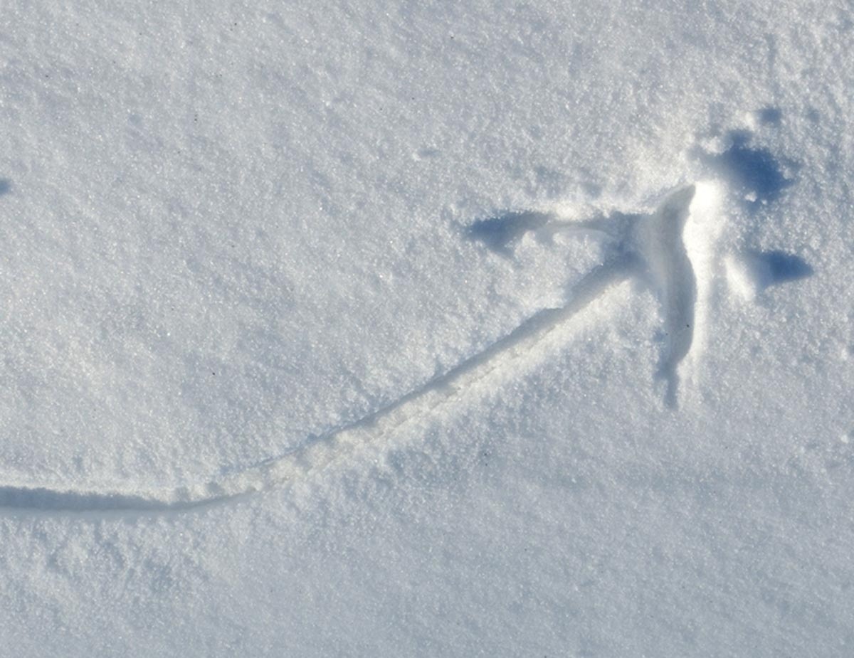 September Inflation Cools — What This Means for Rates, Markets & Retirees 📉