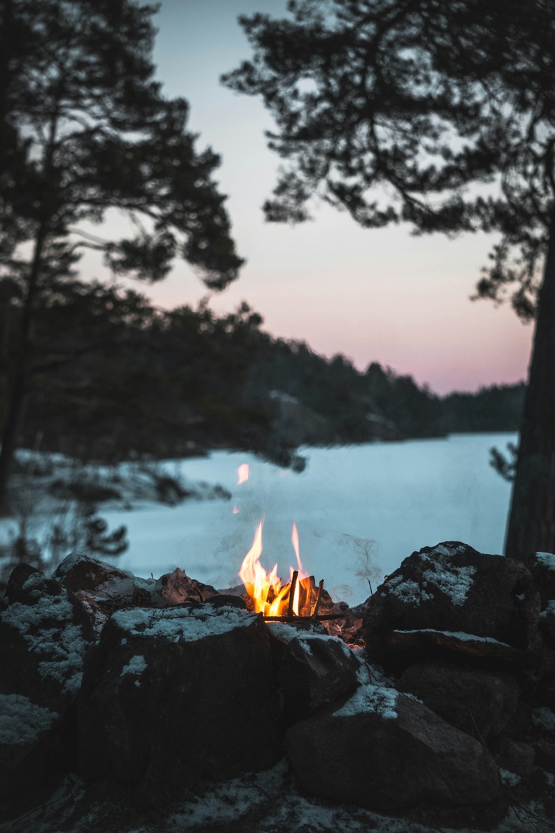 Businesses That Survive: Applying the Principles of Avoiding Failure