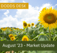 Market Update - August 2023