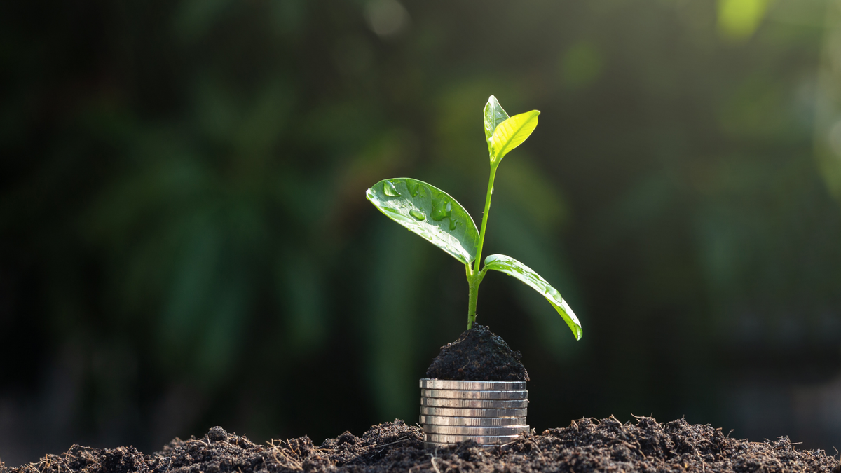 Holistic Financial Tips for Earth Day