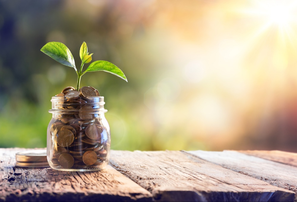 Surviving a Down Market in Retirement