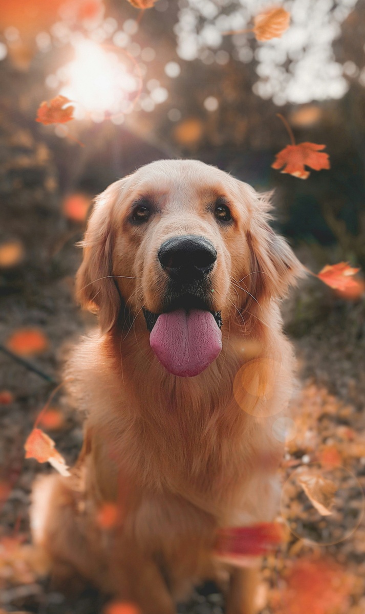 Weekly Market Insights | Stocks Advance, Despite D.C. Shutdown