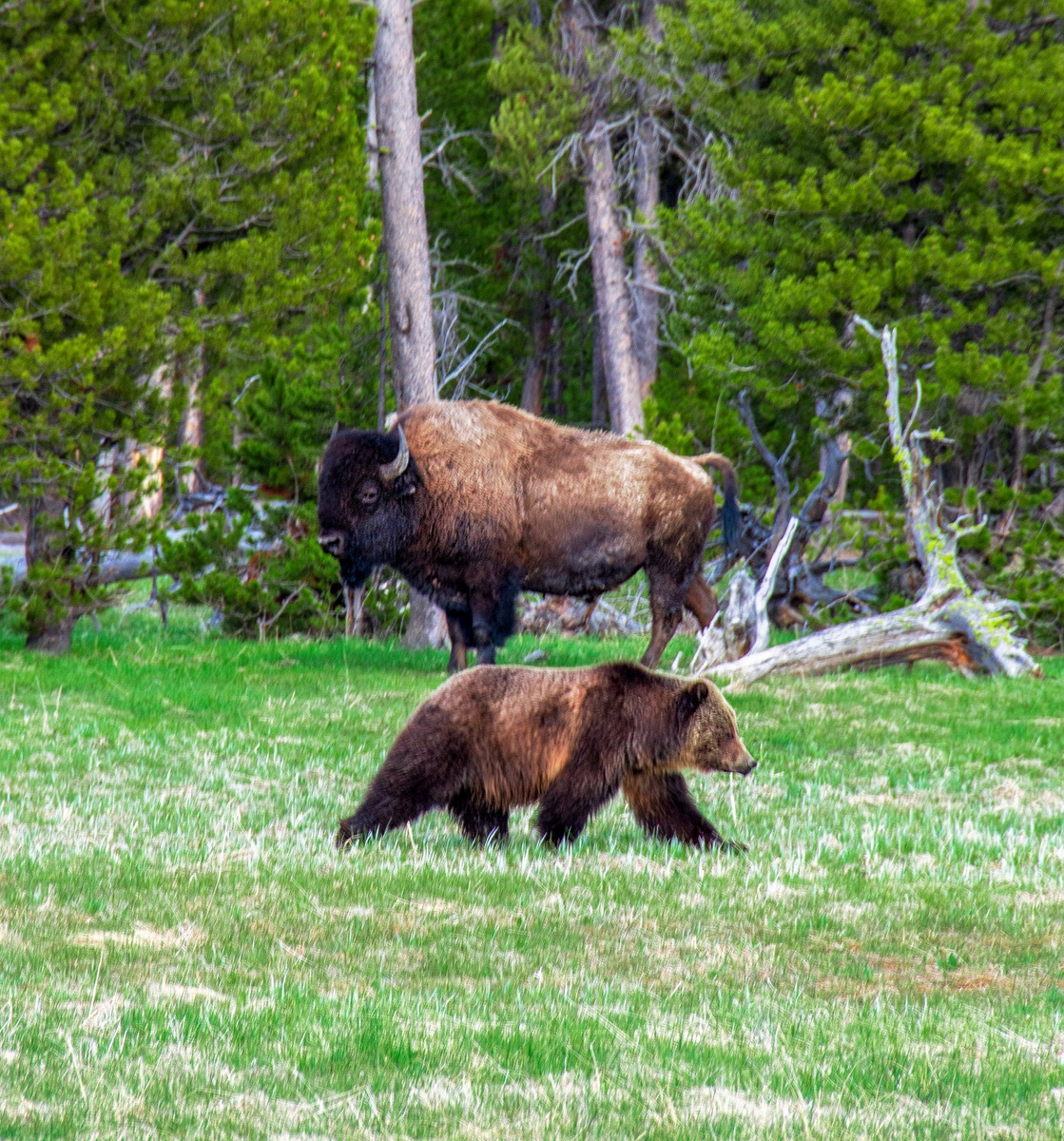 Weekly Market Commentary