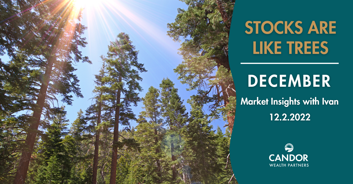 Stocks are Like Trees