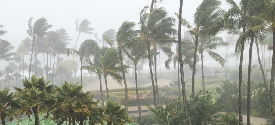Hurricane Awareness Month: What Every South Florida Resident Should Know Before the Storm Hits