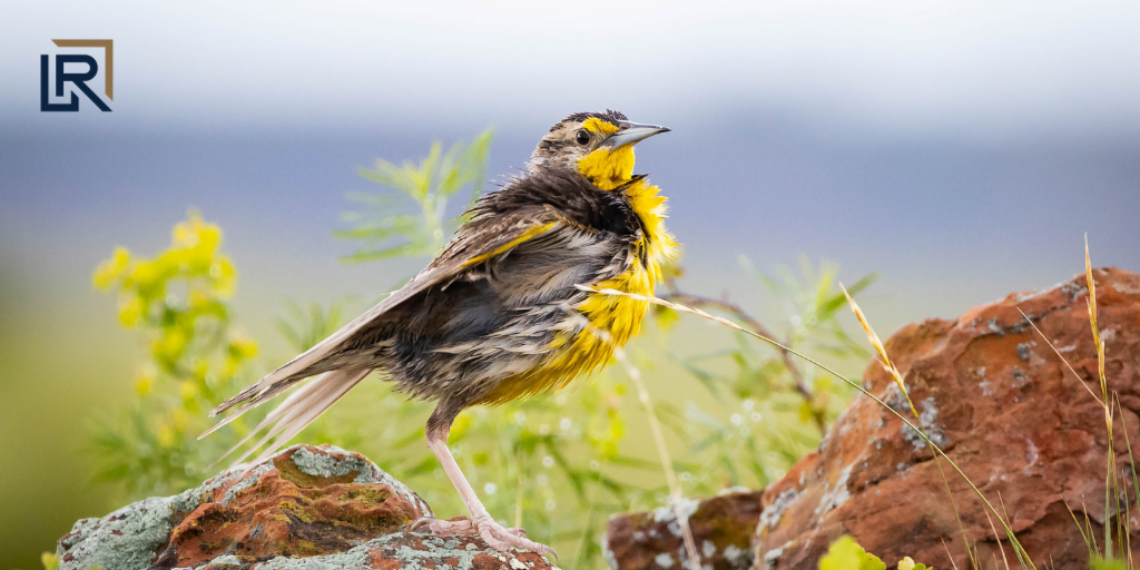 The Early Bird Advantage: Why Timely Year-End Planning is Essential