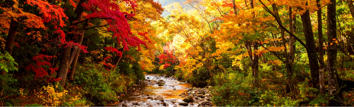 Preparing for the NFL: What Every Prospect Needs to Hear