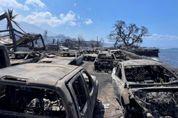 Maui Wildfires