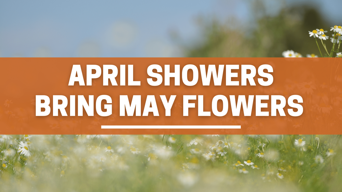April Showers Bring May Flowers