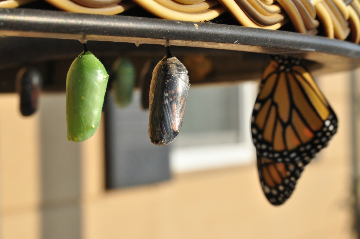 Why We Outgrow Our Own Beliefs — Part 2: The Retirement You Actually Experience