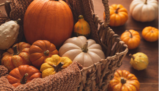 Angela's Fall Favorites for 2024