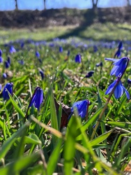 Spring Into April With These Fun Local Activities!