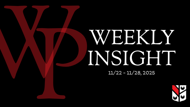 WP Weekly Insight (11/22 - 11/28)