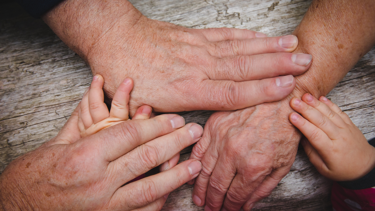 Tips for the Fast Growing Sandwich Generation