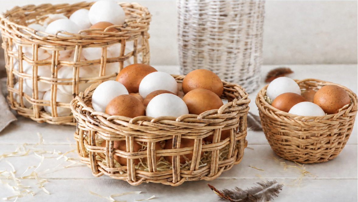 The Wisdom of Not Putting All Your Eggs in One Basket