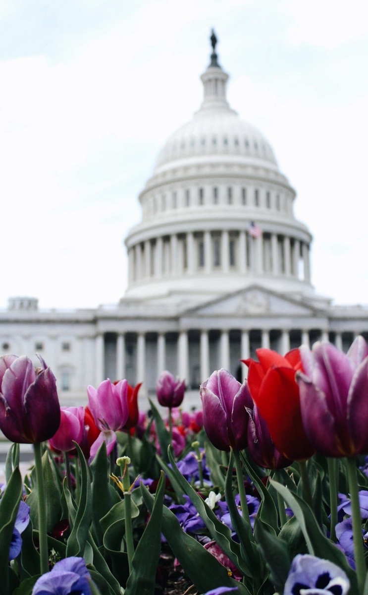 CARES Act Opportunities Beyond the Stimulus Check