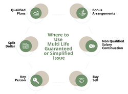 Protect Your Business with Life Insurance Solutions for Owners and Key Executives