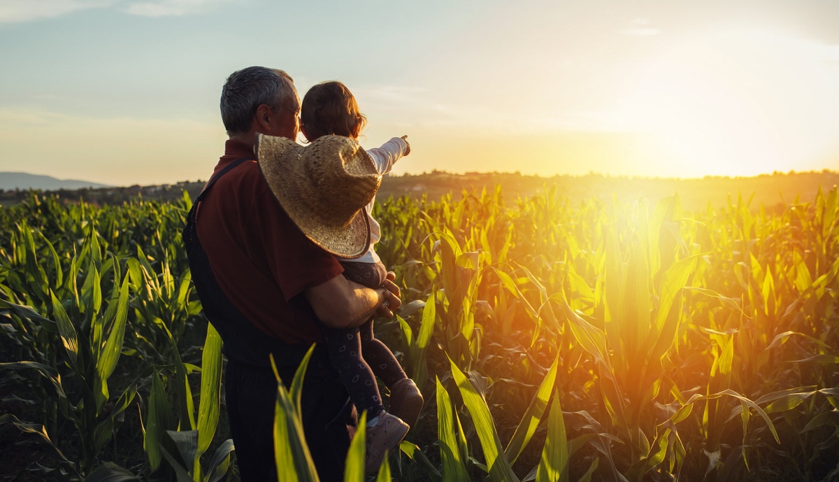 Why Income Distribution Planning Is Key for Your Retirement