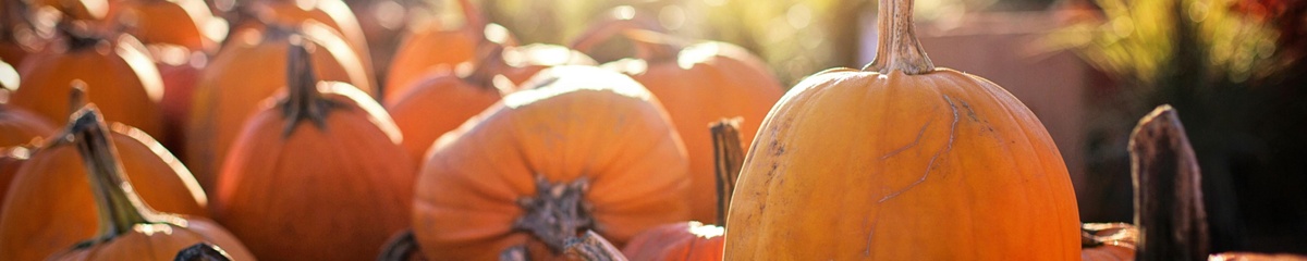 Celebrate National Financial Planning Month with a StewardsPlan™