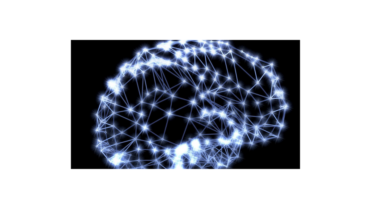 Neural capacity in a 401k context
