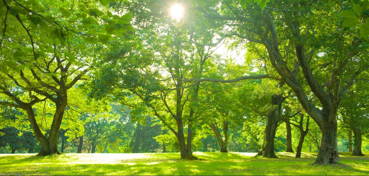 The Importance of a Family Meeting