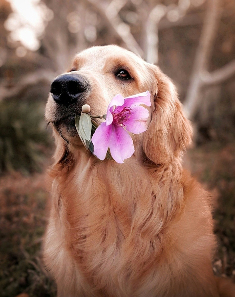 Weekly Market Insights: Fed Comments Stir the Pot for Stocks