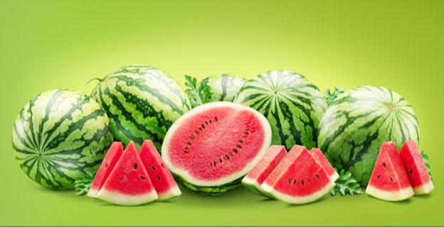 Earnings, Travel Insurance, and Watermelons