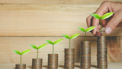 The Popularity of ESG Investing