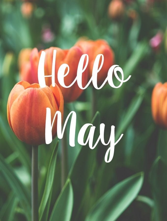 April 2023 Recap: Market Closes Higher, S&P 500 Up 9% In 2023