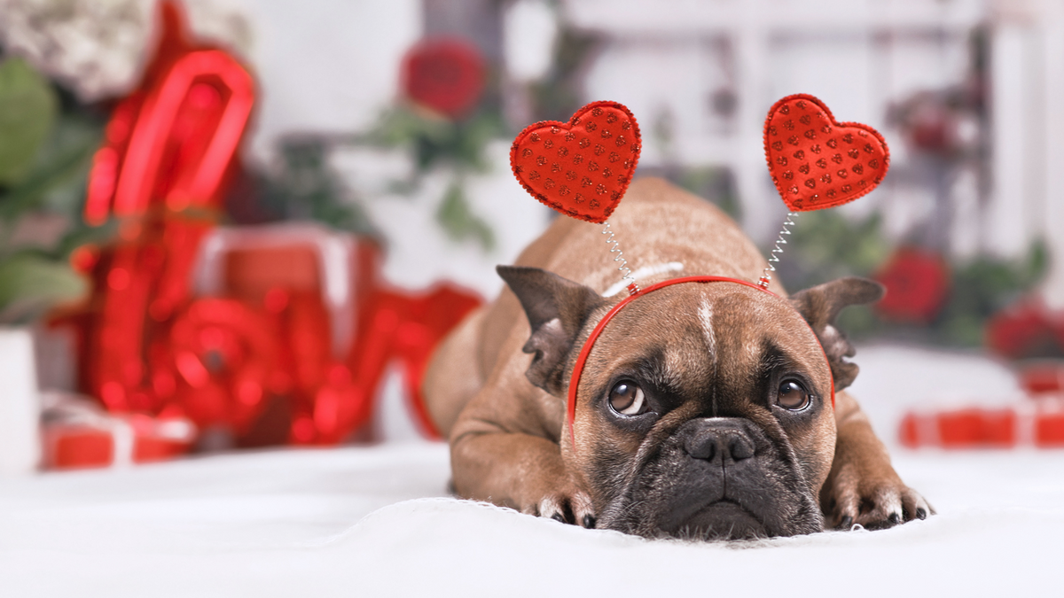 5 Financial Reasons to Love Being Single on Valentine’s Day