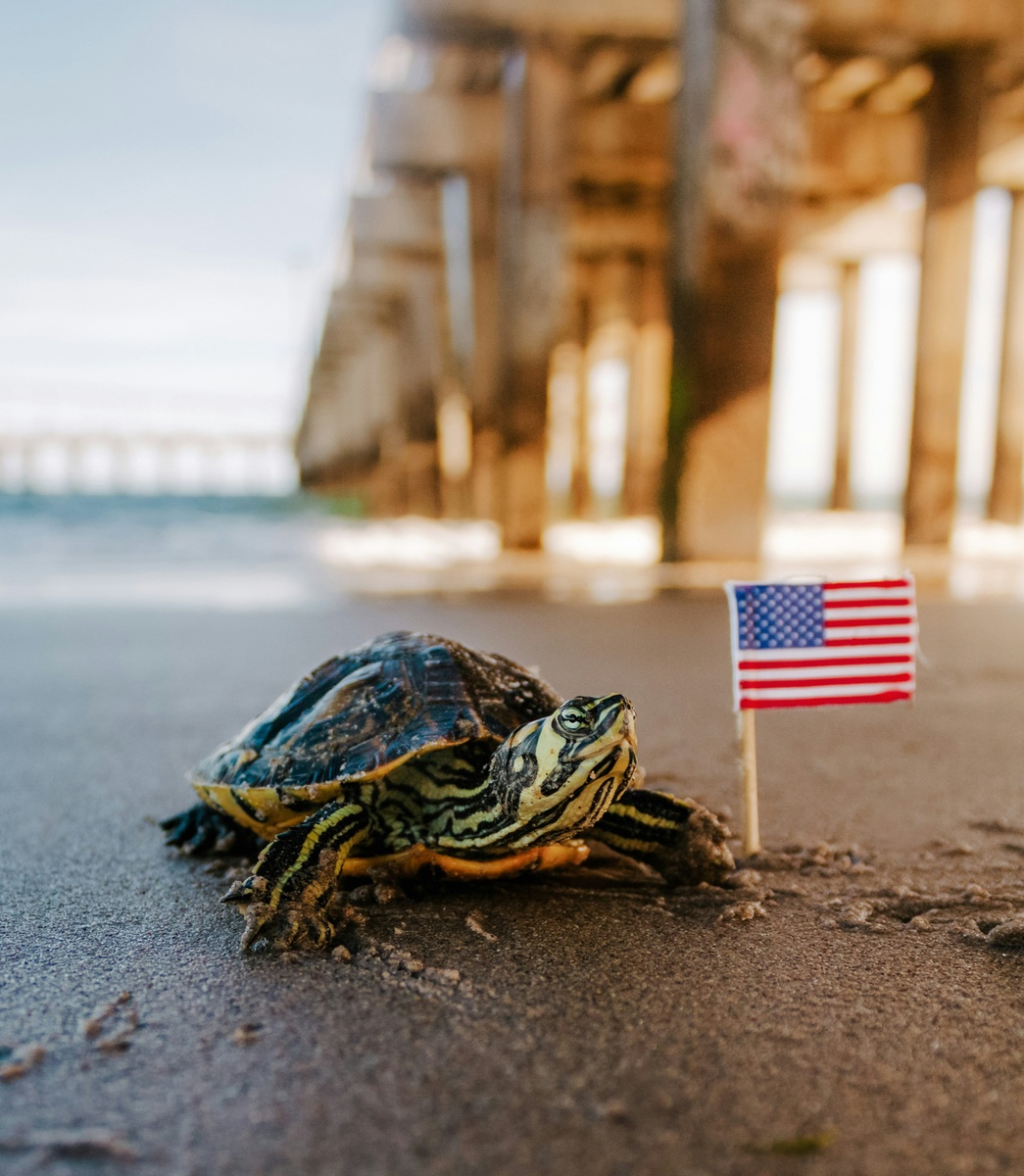 Weekly Market Insights | Markets Hold Broad-Based Rally