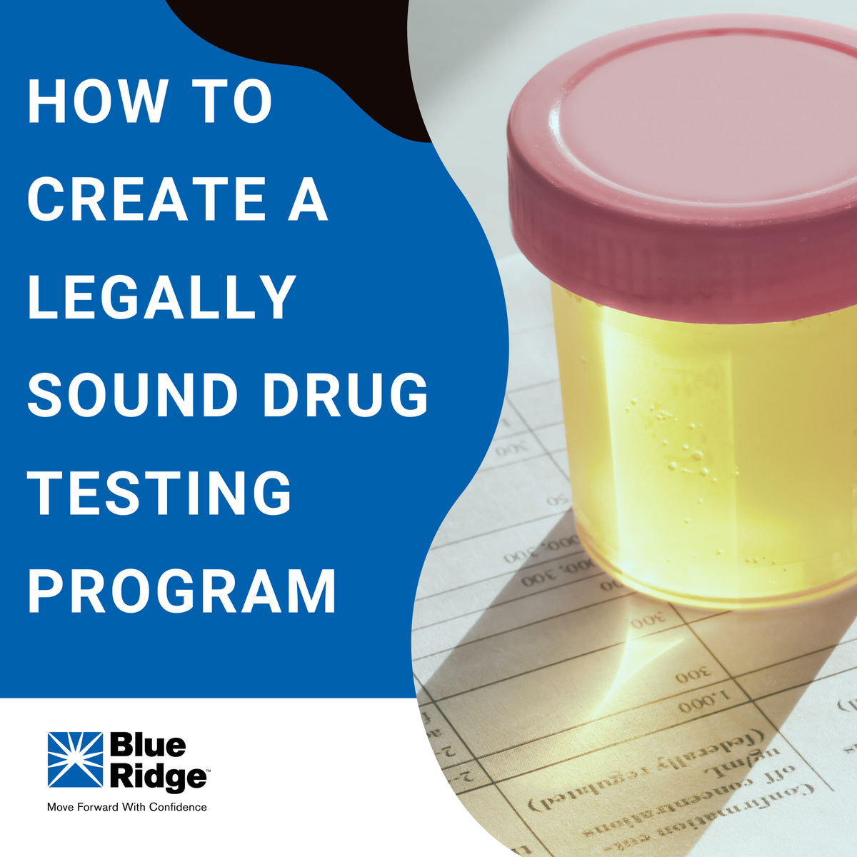 How To Create a Legally Sound Drug Testing Program
