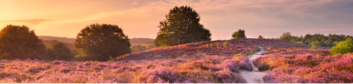 Year-End Planning: Preserve, Grow, and Give