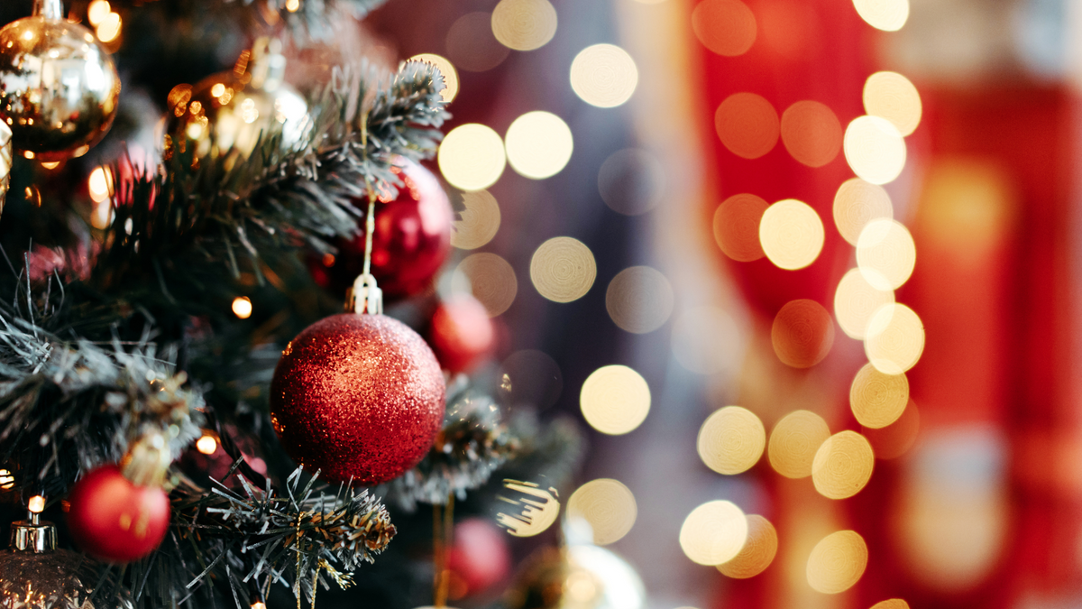 Oh Christmas Tree, Oh Christmas Tree: 5 Christmas Tree Facts