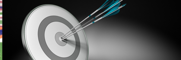What Successful Professionals Are Actually Optimizing For