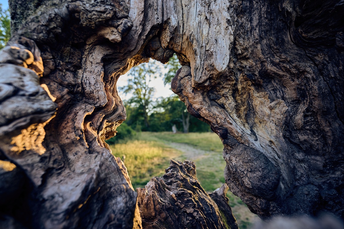 The Reality Behind Widowhood