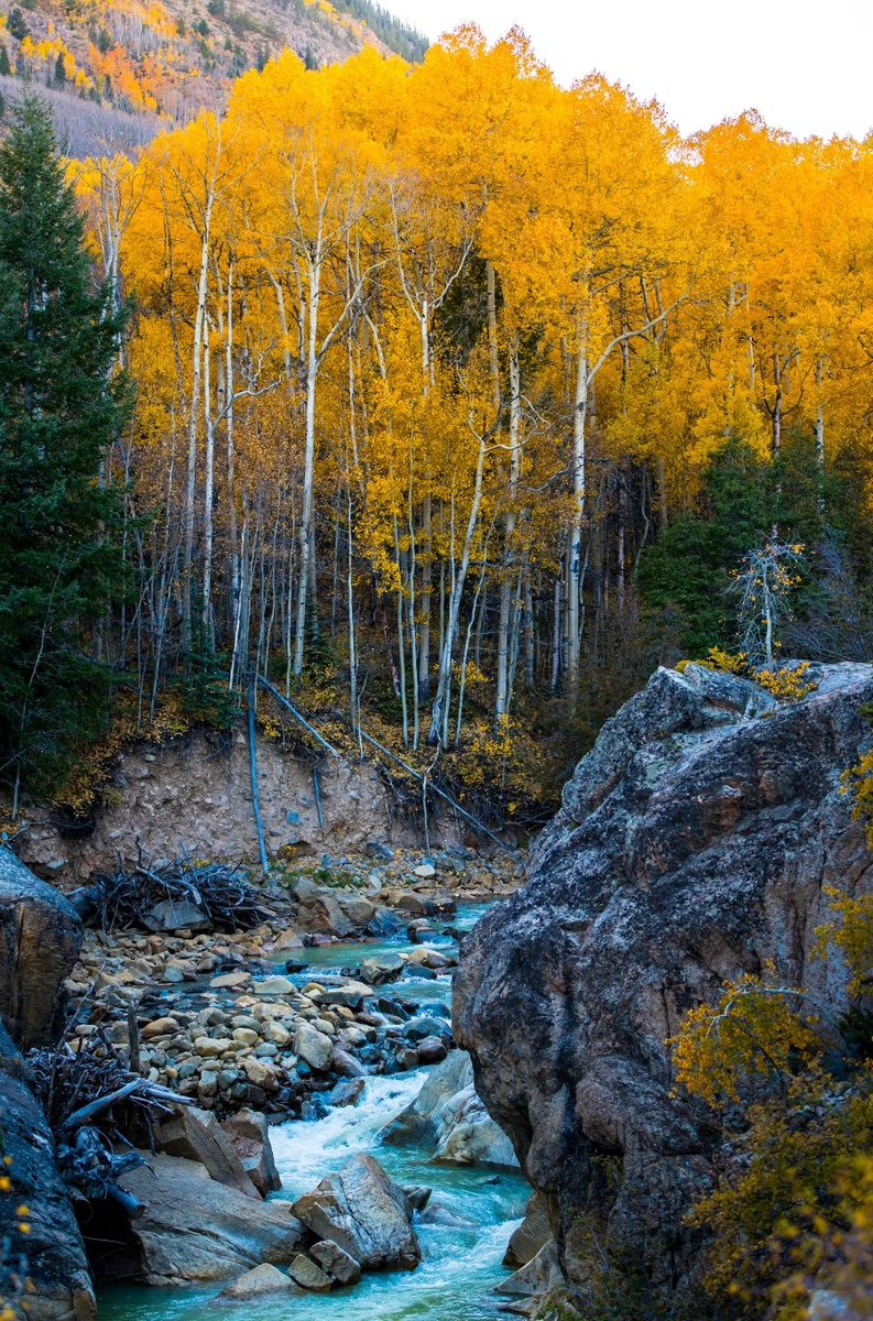 Weekly Market Insights: Markets Focus on Fed's Big September Move