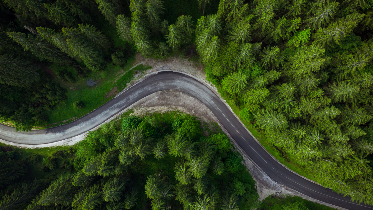 Who is looking for your blind spots?
