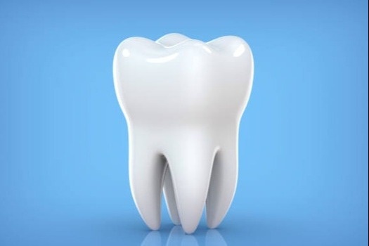 Dental Insurance by Met Life