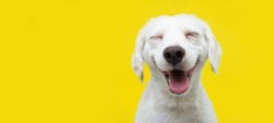 Can We Pursue Happyness?