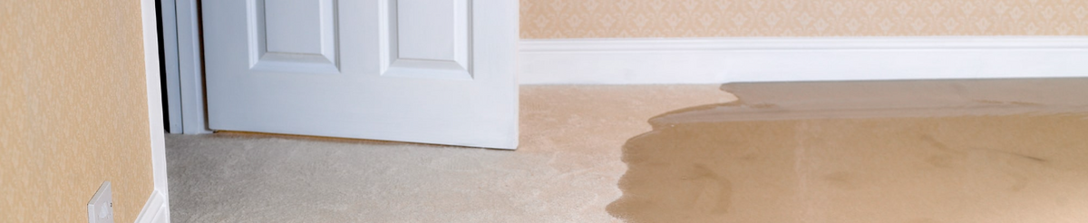 Protecting Your Home Against Flood Loss