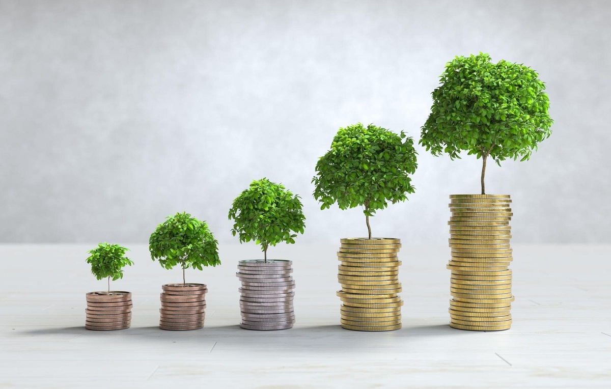 What Is Wealth Management and Do You Need It?