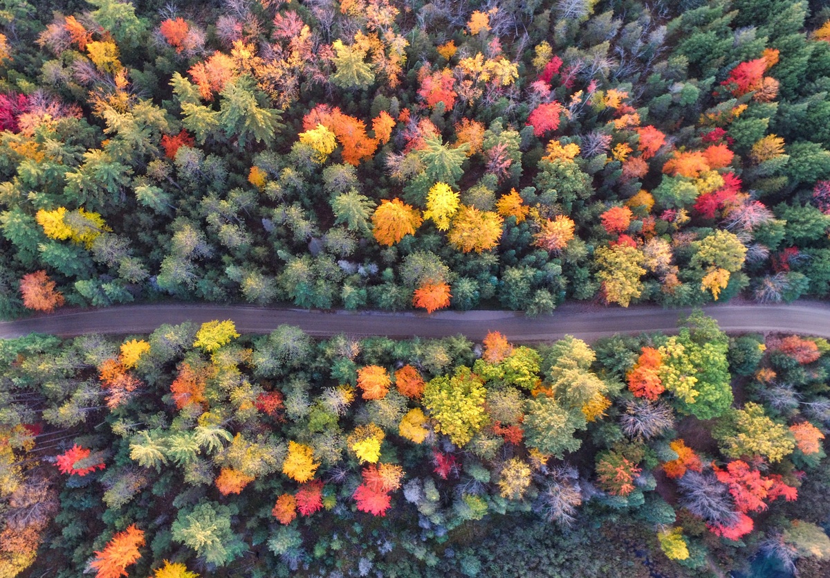 Weekly Market Insights: Mixed Data Leaves Investors Anxious