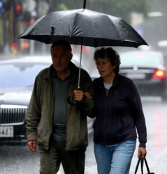 Overconcentrated Stock Portfolios: Real Examples of Wealth Destruction