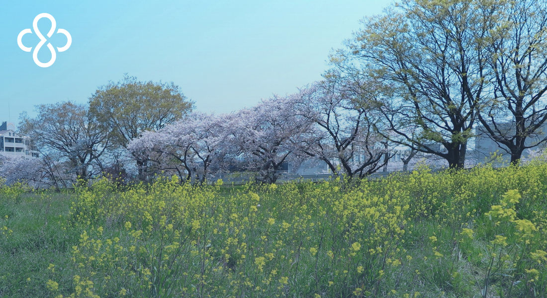 The Financial Check-Up Most People Skip Each Spring