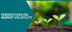 Perspectives on Market Volatility