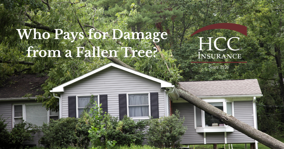 Who Pays for Damage from a Fallen Tree?