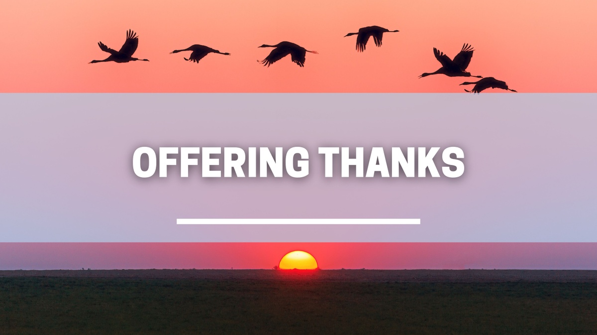 Offering Thanks